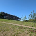 Build of cemetery complete in Elgin