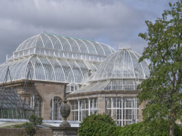 Iconic Palm Houses to reopen at RBGE after five-year restoration project Back view of both Palm Houses at RBGE