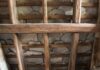 New research reveals rare Angus roofs at ‘significant’ risk