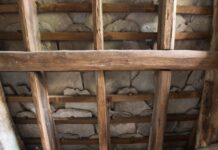 New research reveals rare Angus roofs at ‘significant’ risk